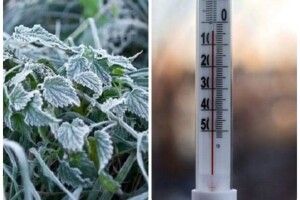 Мінус у травні: у Луцьку побито рекорд холодної погоди