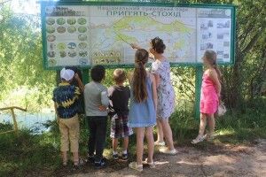 З бібліотеки на заплаву Стиру та в парк