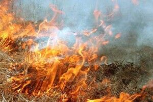 Волинські рятувальники публікують списки паліїв трави 