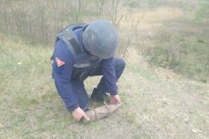 Волинянин знайшов біля лісосмуги вибухівку