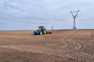 На Волині цього року збільшили посів культур: що посіяли та на якій площі