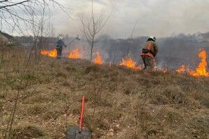 На Волині людська недбалість призвела до 3 пожеж