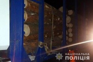 На Камінь-Каширщині зупинили вантажівку зі сосною без документів