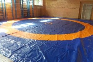 Дітям з Любешівщини, охочим до вільної боротьби, купили спецкилим