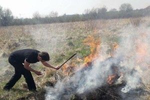 Муніципали гасили пожежу на березі Стира (Фото)