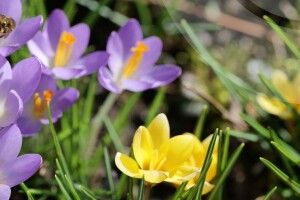 Якою буде погода на Волині