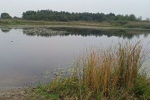 У Литовезькій громаді чоловік додумався мити авто в річці