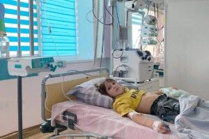 На Львівщині дитина добу провела у реанімації через укус гадюки