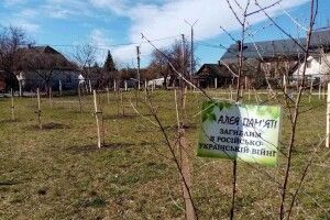 У місті на Волині посадили алею в пам’ять загиблих на війні з росією українців