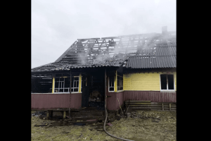 На Волині у пожежі постраждала власниця будинку