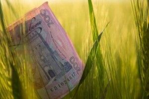 Як малим агровиробникам Волині отримати майже 400 тисяч допомоги