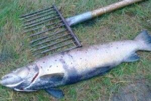 На Волині школяра судили за неправильне рибальство