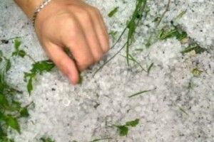 Села на Горохівщині засипало градом