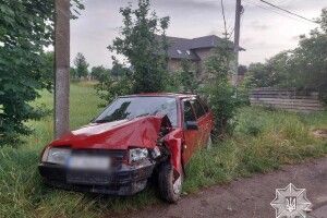 У Луцьку п’яний водій врізався в дерево