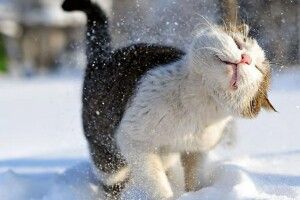 Якою буде погода на Волині 