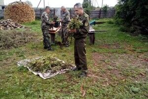 Пульмівській звірині вже в'яжуть віники на зиму (фото)