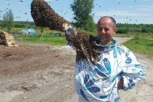 Волинянин без остраху посадив на себе роя