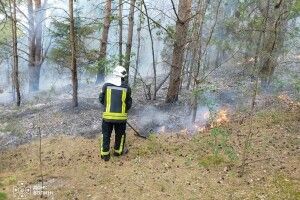 На Волині виявили палія сухостою та жнивних залишків: чоловік отримав штраф