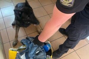 У «Ягодині» службовий собака знайшов наркотики