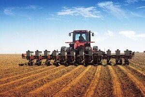 Посівна: на Волині посіяли вже 70% зернових від прогнозу