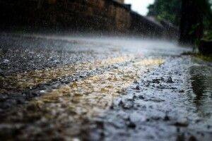 Сильний вітер і дощ: відомий синоптик попередила українців про похолодання