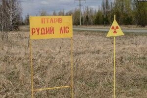 Орки окопуються в радіоактивному Рудому лісі