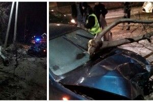 П’янезна мадам за кермом BMW вкоротила віку дереву та електроопорі