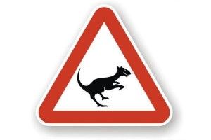 Чому на Рівненщині гинуть тварини?