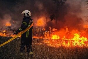 На Волині та Рівненщині горіли ліси через падіння шахедів