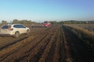 На городі у жителя Волині так розгорілось картоплиння, що довелось викликати пожежників