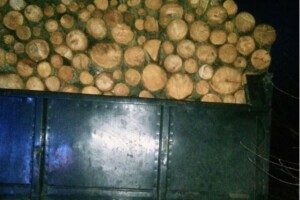 На Ковельщині затримали авто з підозрілою деревиною 