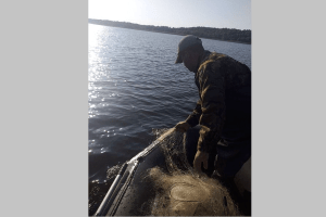 На озері Люцимер вилучено півкілометра сіток
