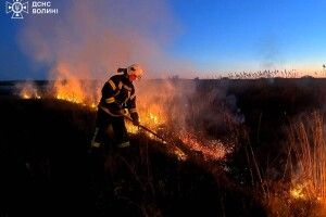 15 пожеж за добу: на Волині горіла суха трава, чагарники та торф
