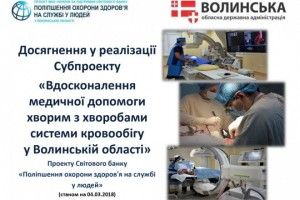Волинь прозвітувала щодо впровадження субпроекту перед МОЗ України та Світовим банком