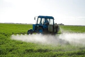 На Любешівщині власникам пасік варто подбати про безпеку бджіл
