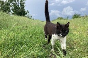 Якою буде погода на Волині