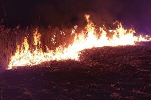 Чим закликають не нехтувати луцькі рятувальники