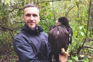 Працівники нацпарку на Волині шукали гнізда рідкісного птаха