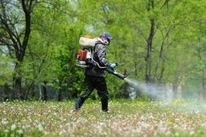 Чому завтра мешканців та гостей Луцька просять бути обережними у зеленій зоні міста