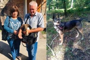 У Луцьку «бридке цуценя» перетворилося на прекрасного собацюру