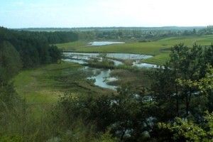 Прокуратура домоглася, аби депутат Волинської облради платив за оренду землі замість шести тисяч – усі 160