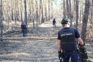Волинські піротехніки вилучили 126 боєприпасів на територіях Донеччини та Чернігівщини