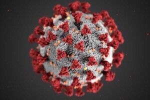 Скількох людей може заразити одночасно інфікований Дельта-штамом 
