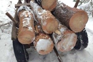 50-річний житель Рівненщини стріляв з рушниці по возі з краденою деревиною