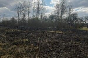 На Волині офіцер громади знайшов жінку, яка підпалила сухостій