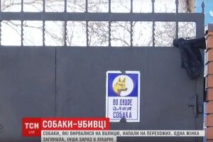 Пси загризли на смерть жінку просто посеред вулиці