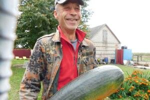 На Горохівщині вирощують 60-кілограмові кабачки з американського насіння