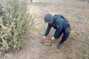 У лісі під час збирання грибів волиняни знайшли 11 боєприпасів часів минулої війни (Фото)
