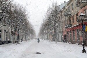 На Волині вируватимуть хуртовини та сильний вітер