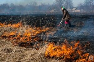 На Волині спеціальні бригади виловлюватимуть паліїв трави (Відео)